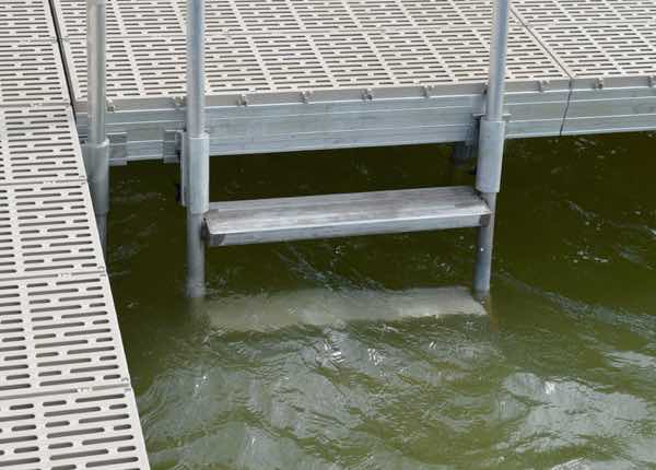 Dura Dock Ladder